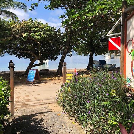 Hotel Chillies And Native Sons Diving West End Exterior foto